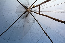 網絡,魚,菲舍爾