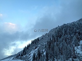 冬天,雪,寒冬