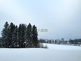 冬天,雪,寒冬