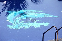 池,水,游泳池