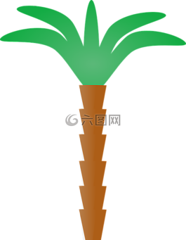 棕櫚樹,熱帶,夏天