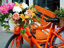 自行車(chē),自行車(chē)裝飾,鮮花