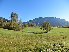 山,草地,樹