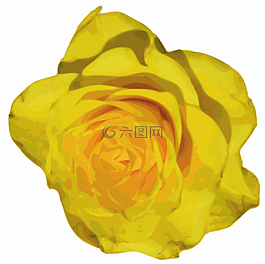 玫瑰,黃色,花