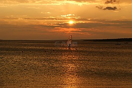 日落,沖浪者,海