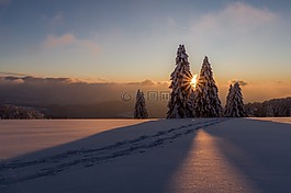 冬天,雪,寒冬