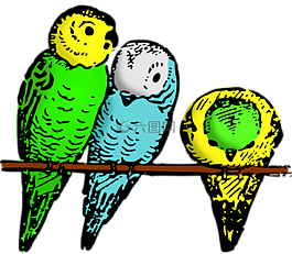 動(dòng)物,鳥,便宜