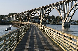 碼頭,橋,水