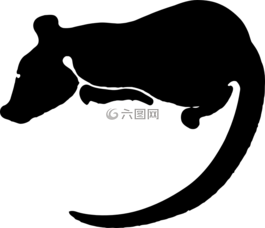 大鼠,滅鼠,動(dòng)物