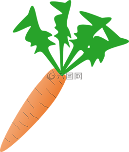 胡蘿卜,蔬菜,新鮮