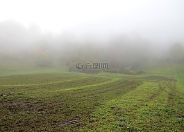 秋季,霧,耕地