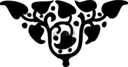 葉子,漿果,側(cè)影