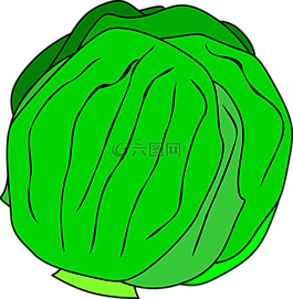 沙拉,生菜,蔬菜