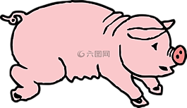 豬,動物,哺乳動物