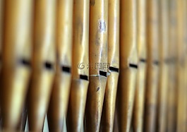 器官,管道,數(shù)