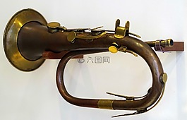 喇叭,象鼻,播放