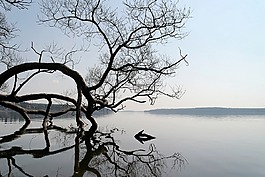 湖,景觀,水