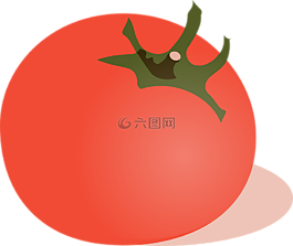 番茄,蔬菜,紅色