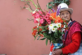 卖花,鲜花,妇女