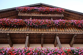 fachwerkhaus,蒂羅爾,花盆