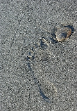 足跡,沙,方向