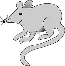 鼠標(biāo),大鼠,滅鼠