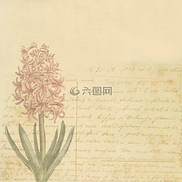釀酒,繡球,老