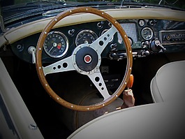體育運動方向盤,葡萄酒,跑車