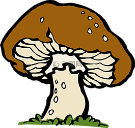 蘑菇,大,菌類