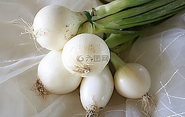 洋蔥,蔬菜,電源