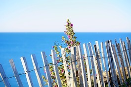 海,景觀,性質(zhì)