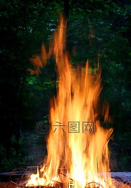 火,燒烤火,火焰