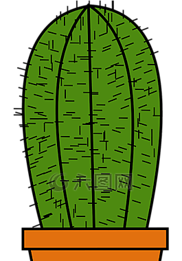 仙人掌,煲,綠色