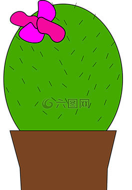 仙人掌,植物,鍋
