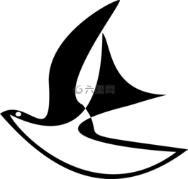 鴿子,鳥,黑