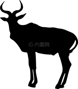 非洲,动物,羚羊