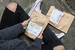 见蛋白质,食用昆虫,板球粉末