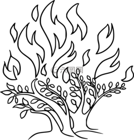 圣經(jīng),燒傷,燃燒的荊棘