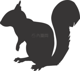 松鼠,側(cè)影,動物