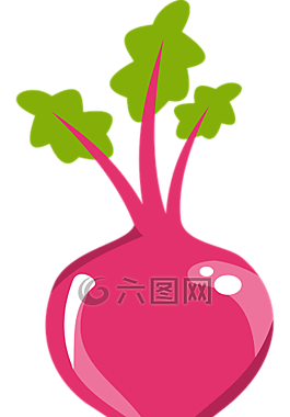 甜菜,食品,水果，蔬菜，