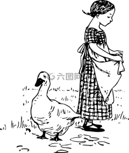 連衣裙,鴨,農(nóng)場(chǎng)