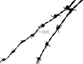 鐵絲網(wǎng),電線,峰值