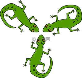非洲,動物,蜥蜴