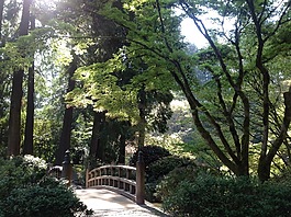 日本花園,橋,波特蘭