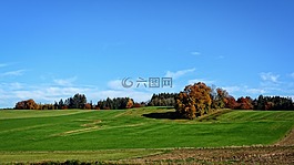 樹(shù)木,秋季,天空