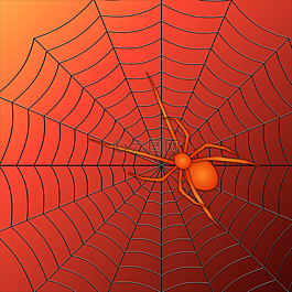 蜘蛛,紅色,web