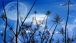 晚上,月亮,背景