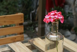 玻璃,木材,葉