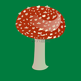 蘑菇,紅色,植物