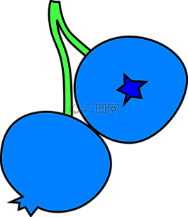 漿果,藍(lán)色,兩